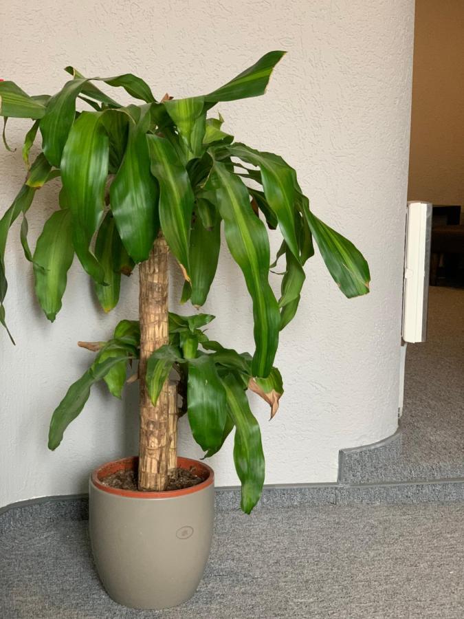 Swiss Hotel Krummen Eich Pratteln Free Parking Zewnętrze zdjęcie